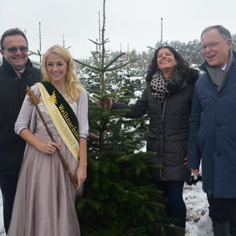 Die Weihnachtsbaumsaison 2016 ist eröffnet