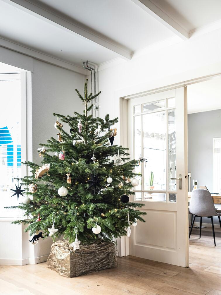 Noch 100 Tage bis Weihnachten -Trends für das Fest 2024