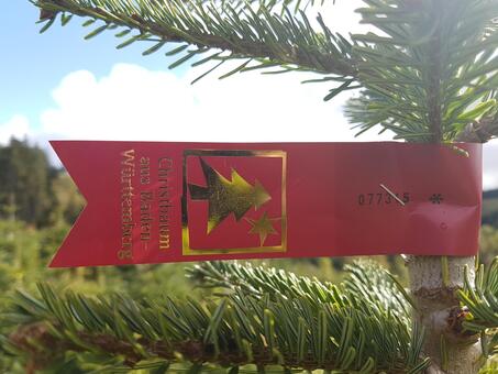 Banderole "Christbaum aus Baden - Württemberg"