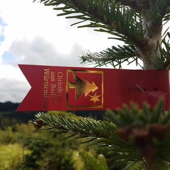 Mehr regionale Bäume, Preise bleiben stabil